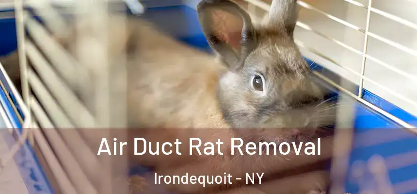Air Duct Rat Removal Irondequoit - NY
