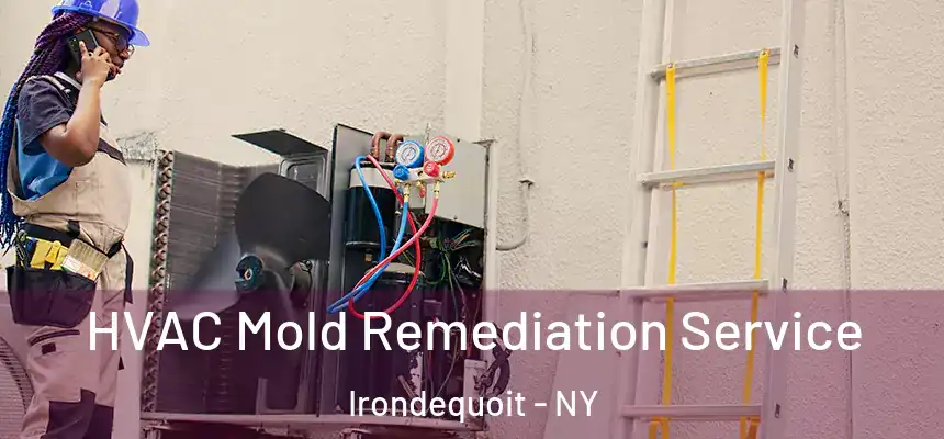  HVAC Mold Remediation Service Irondequoit - NY