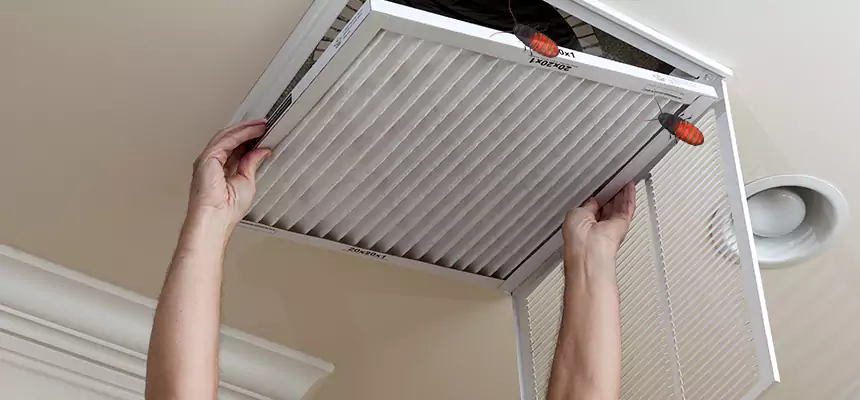 Preventive Cockroach-Proofing for Ducts in Irondequoit