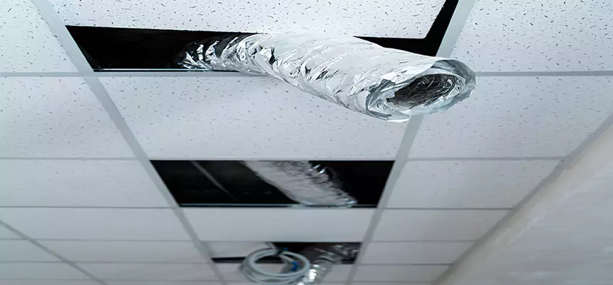 Affordable HVAC Sanitizing After Pest Removal in Irondequoit