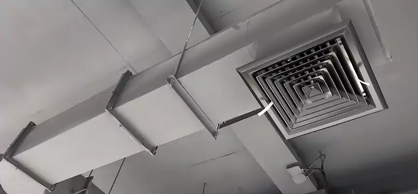 Our Pest Removal From Ducts Services in Irondequoit, NY