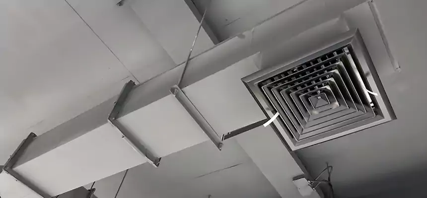 Our Rodent Droppings In Vents Services in Irondequoit, NY