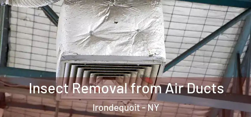 Insect Removal from Air Ducts Irondequoit - NY