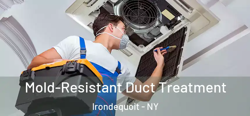 Mold-Resistant Duct Treatment Irondequoit - NY