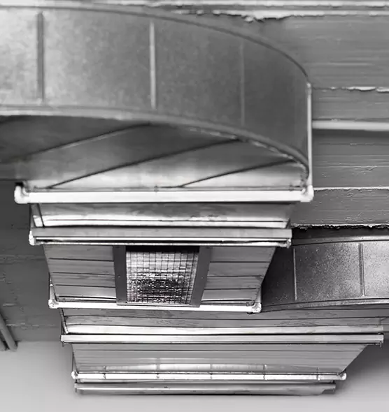 Professional Air Duct Pest Removal in Irondequoit, NY