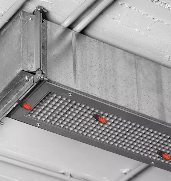 Affordable Insect Removal from Air Ducts in Irondequoit, NY