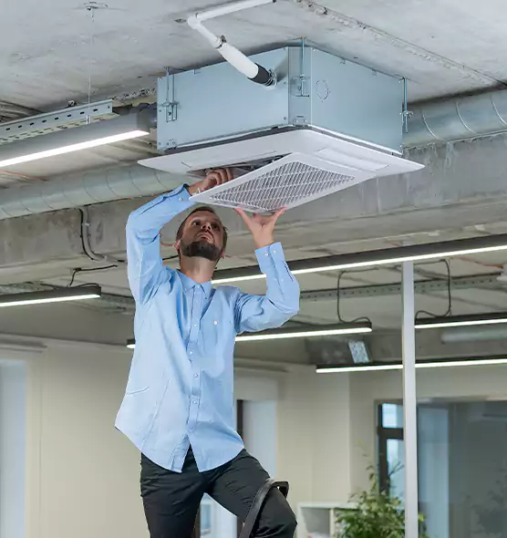 Advanced Rodent Droppings In Vents in Irondequoit, NY