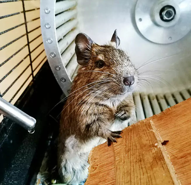 Why Homeowners & Businesses Trust Us Irondequoit, NY?